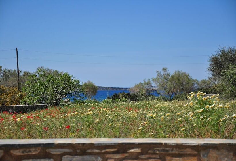 Michalis Apartments Near The Beaches With Sea View