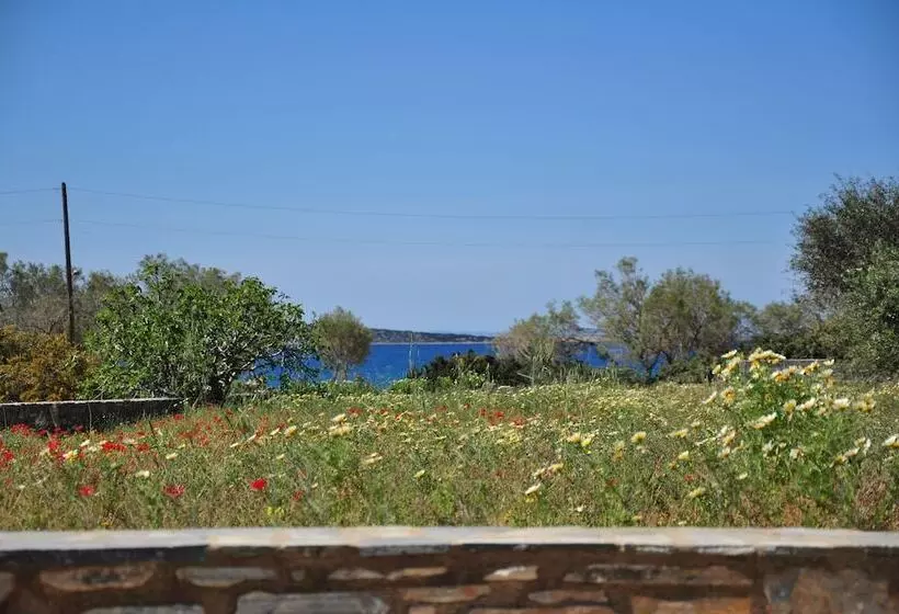 Michalis Apartments Near The Beaches With Sea View