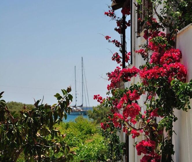 Michalis Apartments Near The Beaches With Sea View