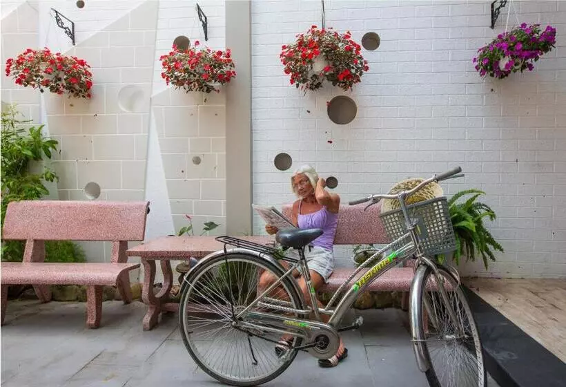 پانسیون Hoang Thu Hostel