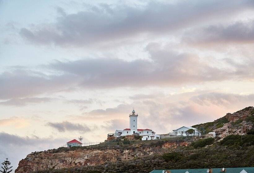 Perna Perna Mossel Bay