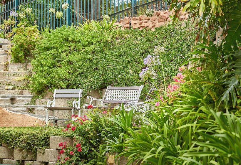 Perna Perna Mossel Bay