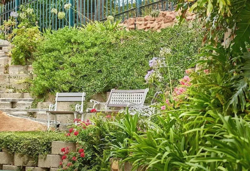 Perna Perna Mossel Bay