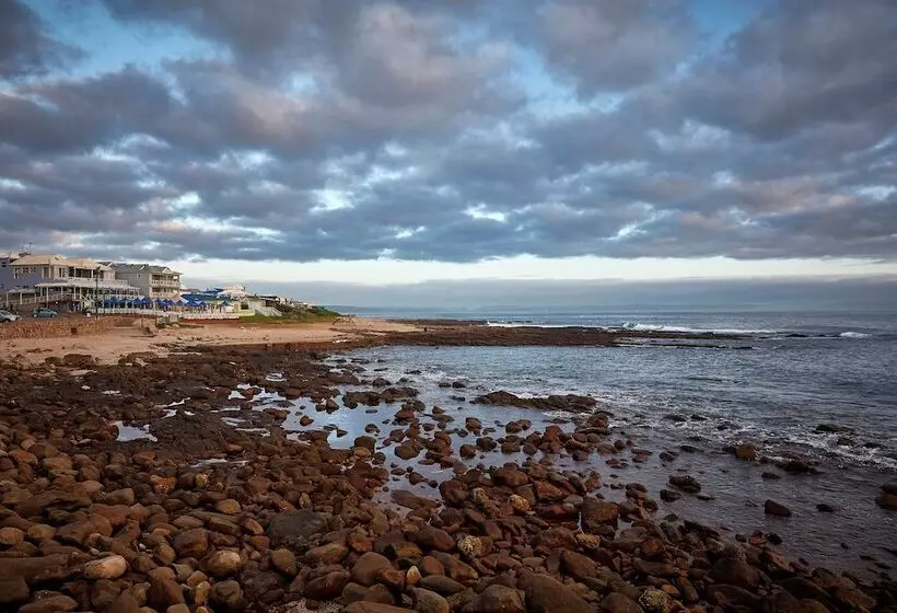 Perna Perna Mossel Bay