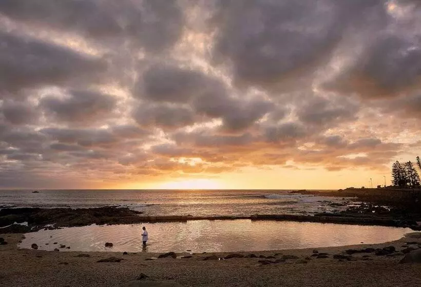 Perna Perna Mossel Bay