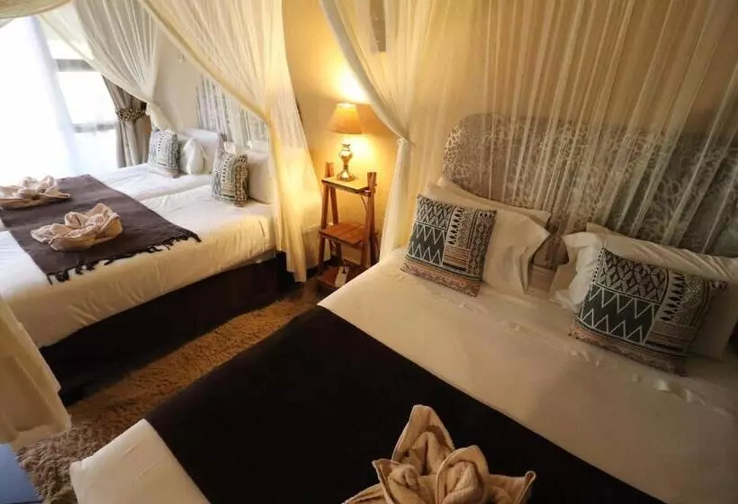 酒店 African Rock Lodge