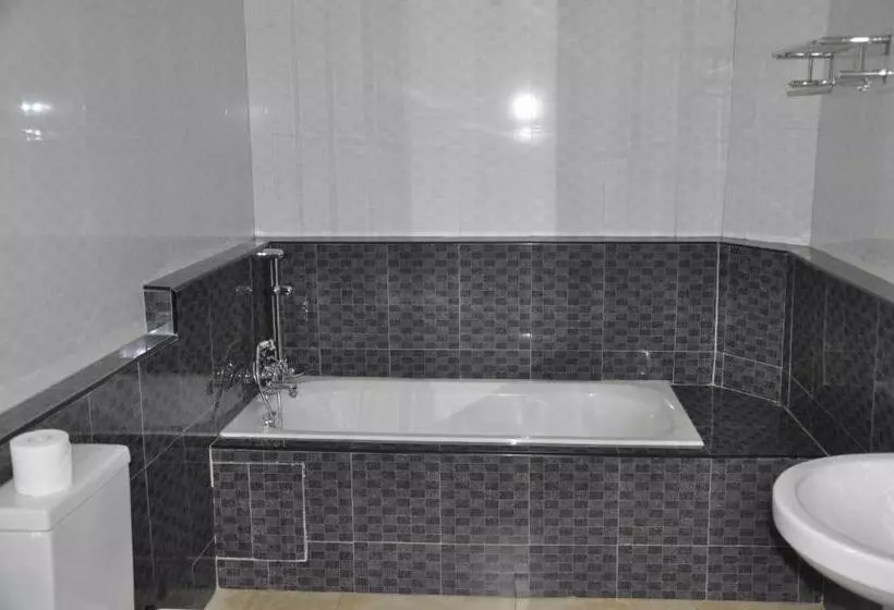 هتل Biraj International