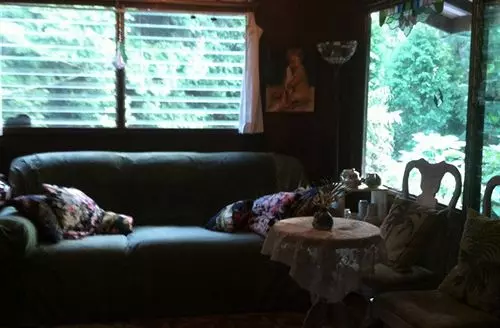 Отель The Enchanted Gardens Rainforest Bed & Breakfast