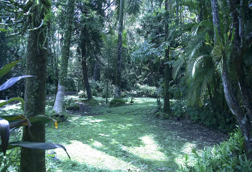 Отель The Enchanted Gardens Rainforest Bed & Breakfast