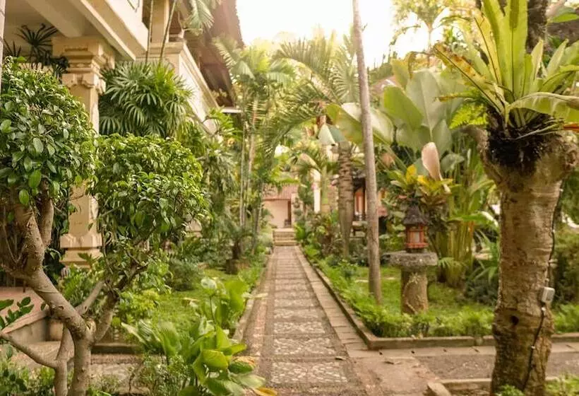 בית מלון כפרי Suma