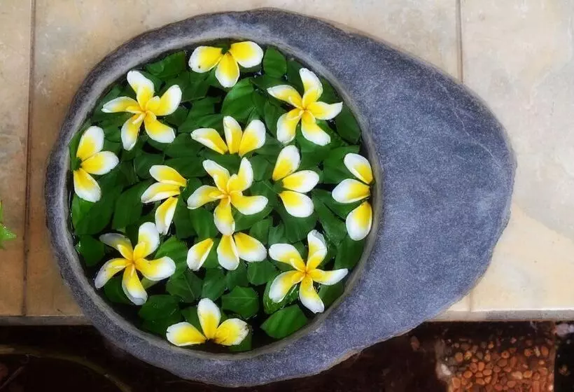 בית מלון כפרי Suma