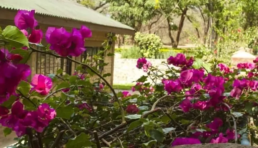 هتل Woodlands Lilongwe