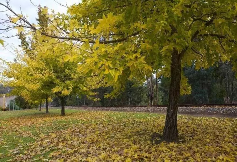 فندق على الطريق Nelsons Of Bridgetown