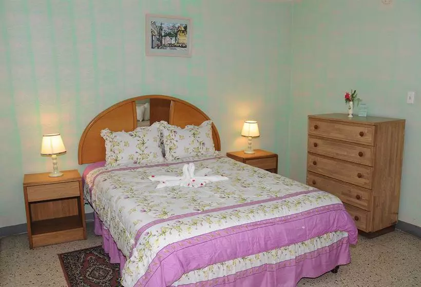 Palm View Guesthouse And Conference Centre