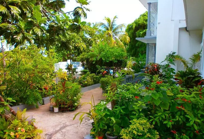 Palm View Guesthouse And Conference Centre