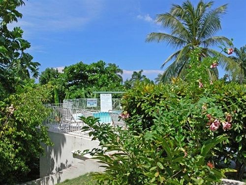 Palm View Guesthouse And Conference Centre