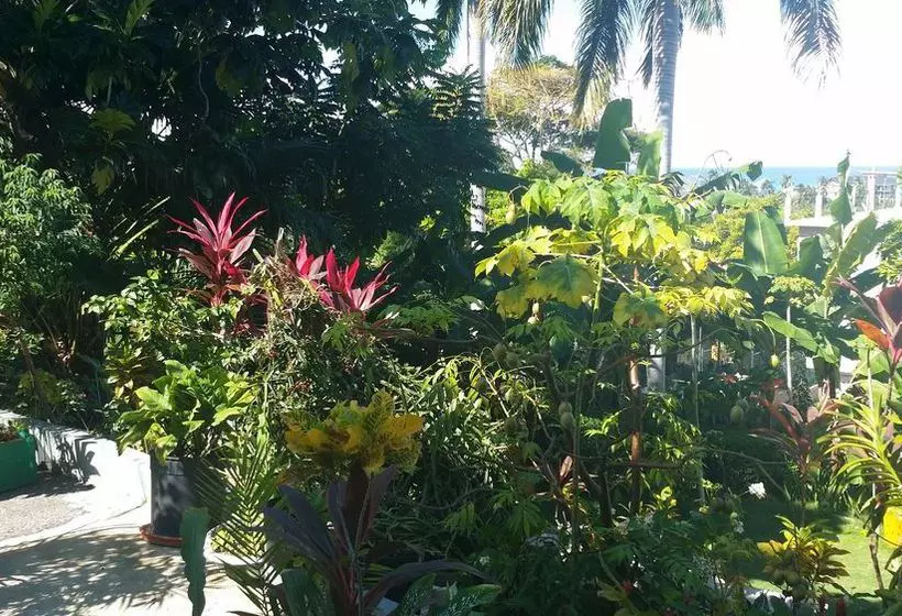 Palm View Guesthouse And Conference Centre