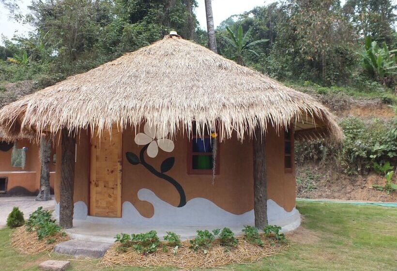 بنسيون Baandin Chiangdao