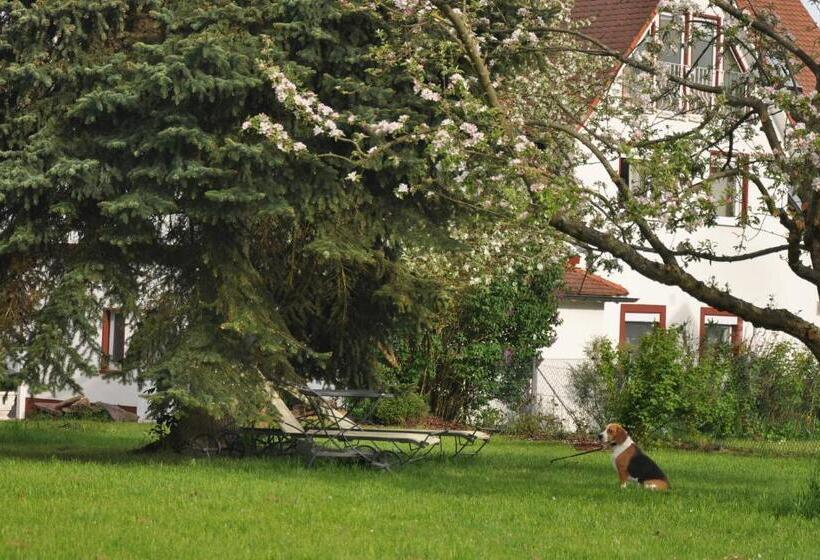 Bed and Breakfast Hauser Der Villa Italia