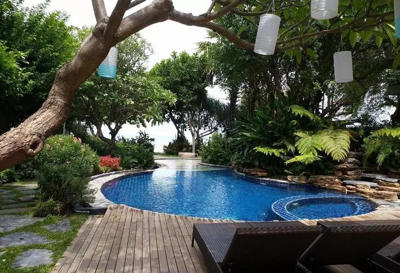 בית מלון כפרי Casa Papaya