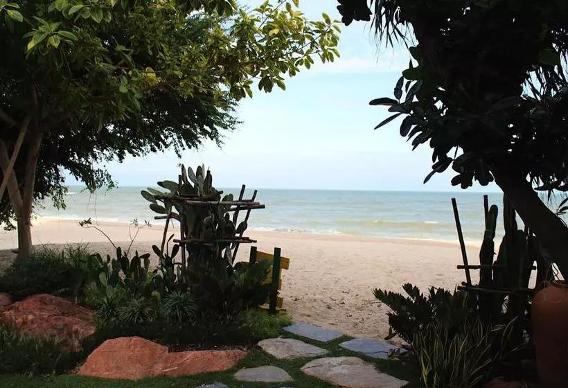 בית מלון כפרי Casa Papaya