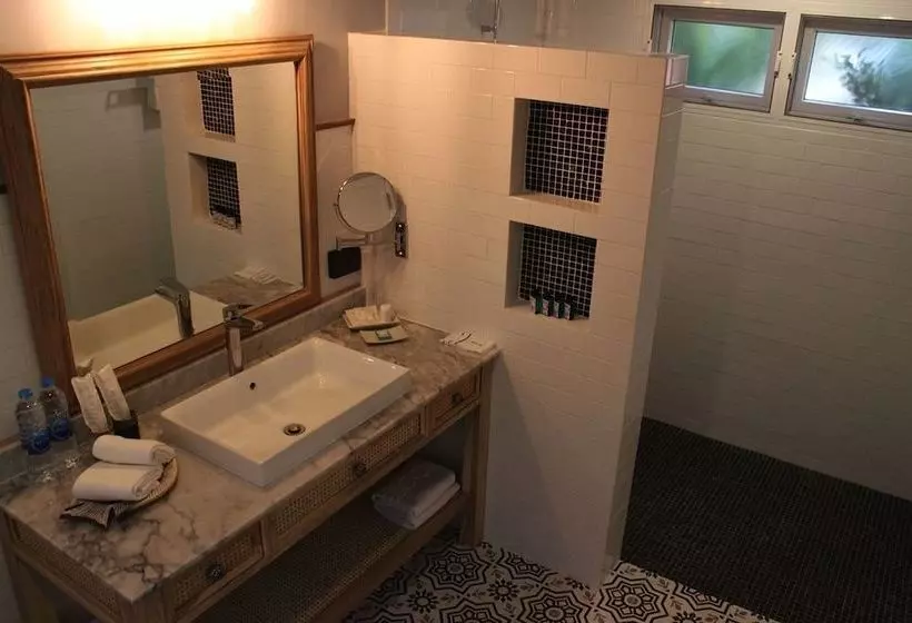 בית מלון כפרי Casa Papaya