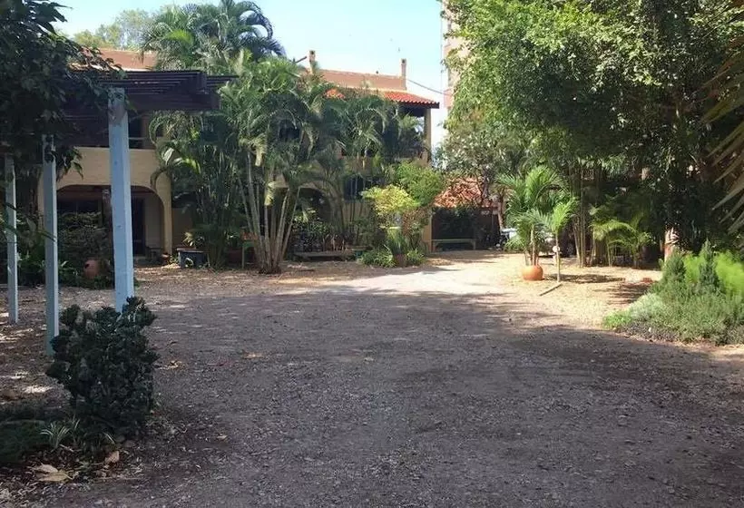 בית מלון כפרי Casa Papaya