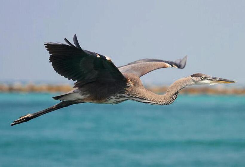 فندق East Pass 407