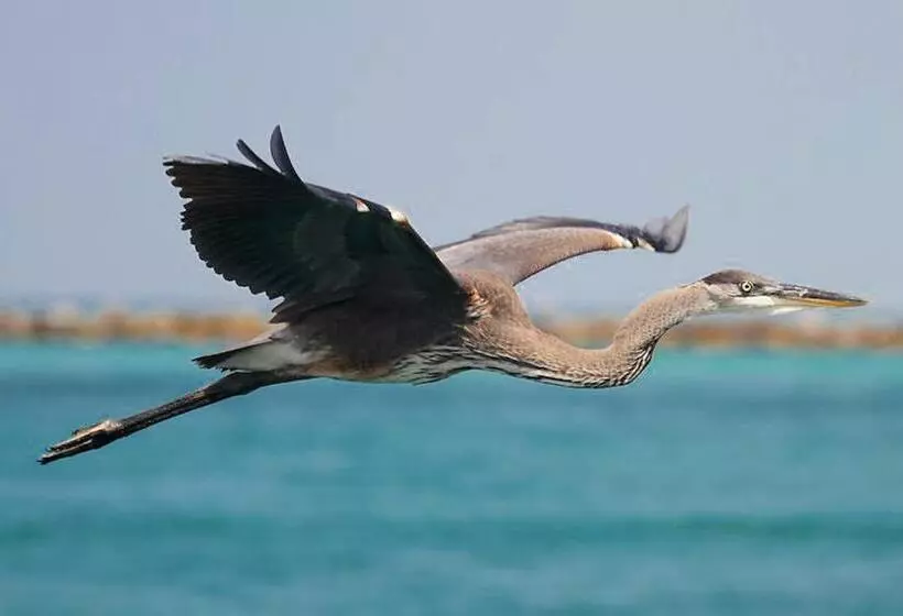 호텔 East Pass 407