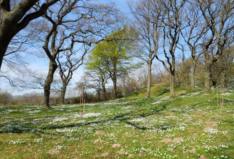 فندق Grand Hôtel Mölle