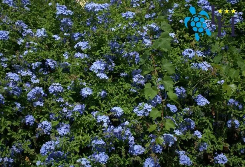 호텔 Lora Rda Luxury