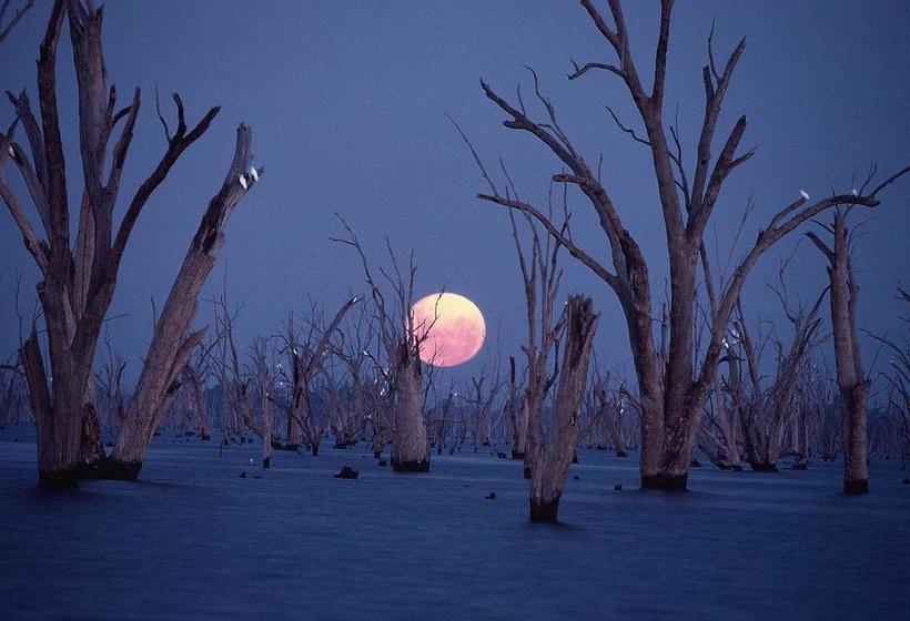 호텔 The Yarrawonga