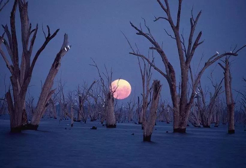 ホテル The Yarrawonga