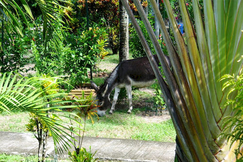Gites Soleil Couchant