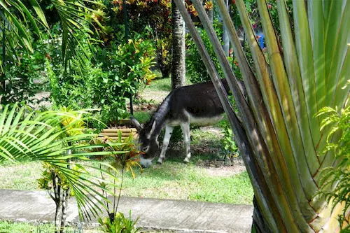 Gites Soleil Couchant