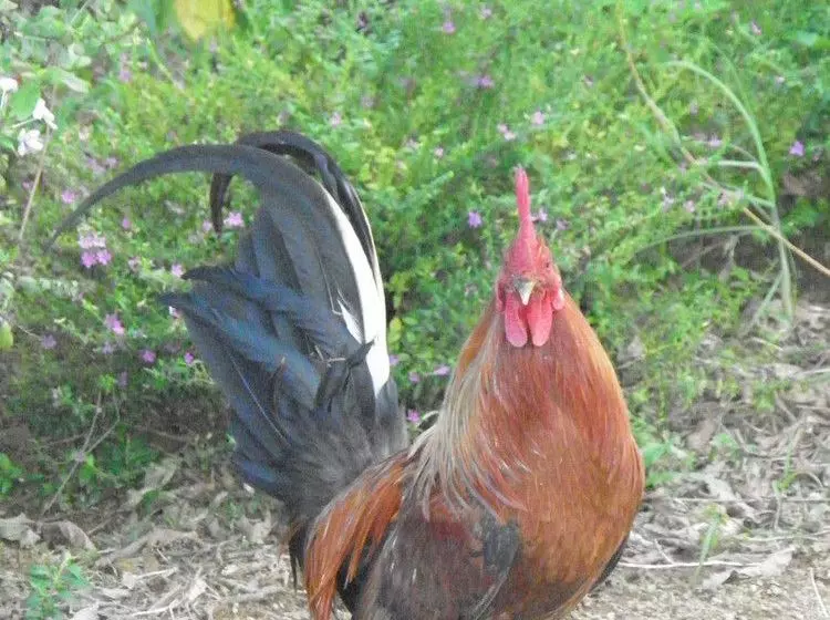 Gites Soleil Couchant