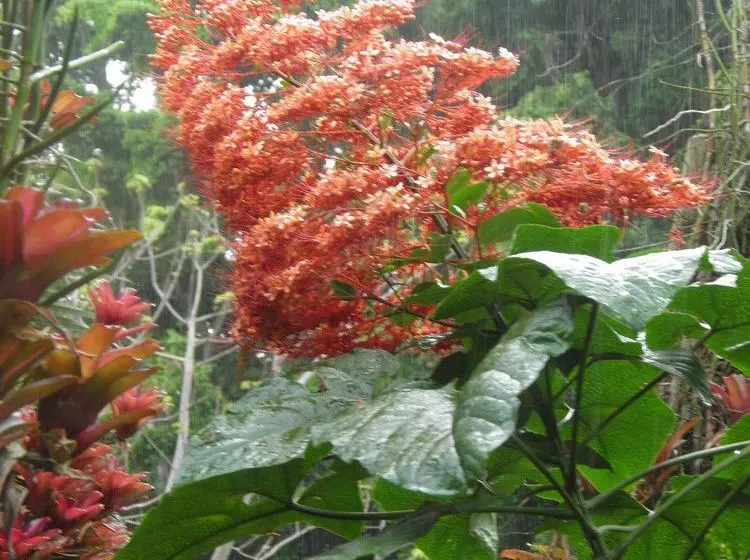 Gites Soleil Couchant