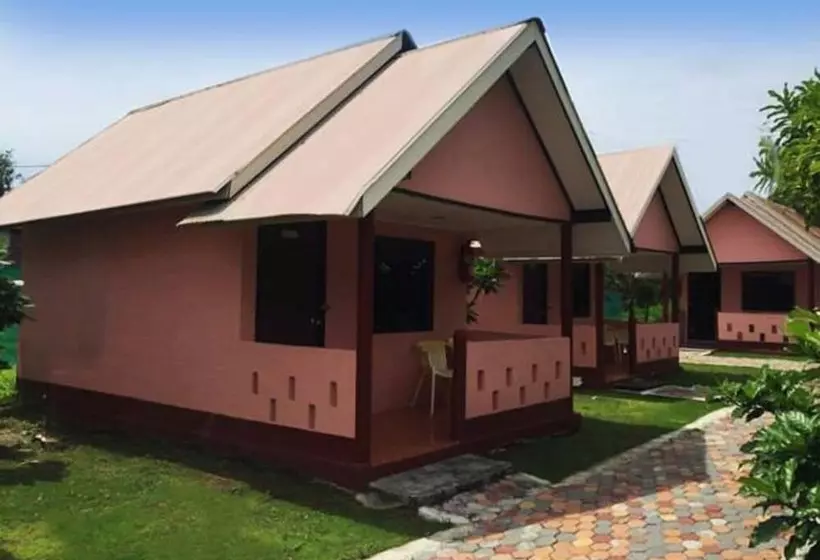 Hotel Gypsy Sea View Resort  Phi Phi Island