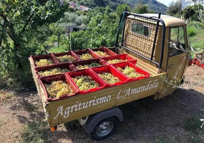 L Amandola Villa  Agriturismo