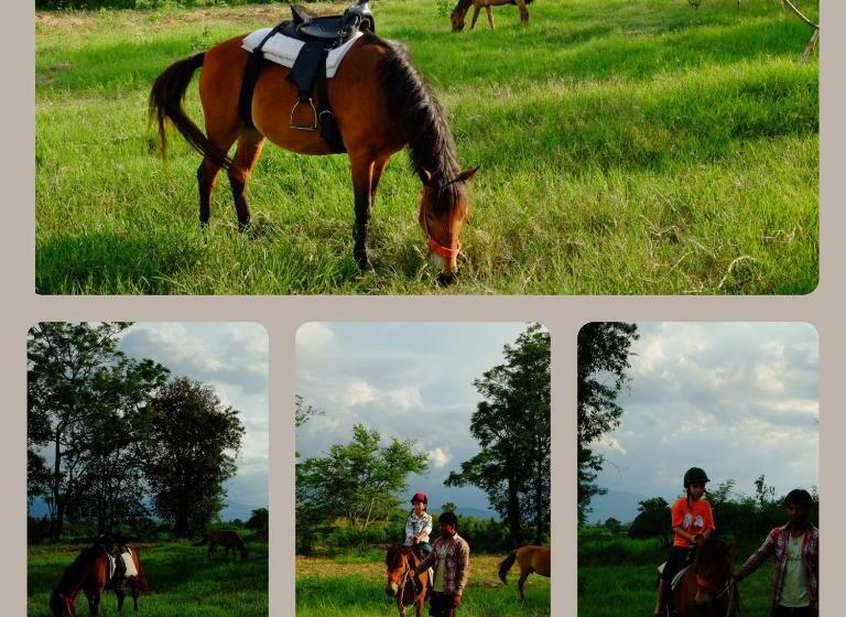 Курорт Phukumhom Khao Yai