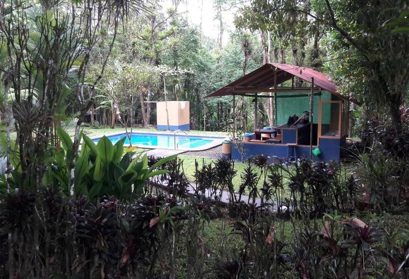 Отель Cerro Chato Ecolodge