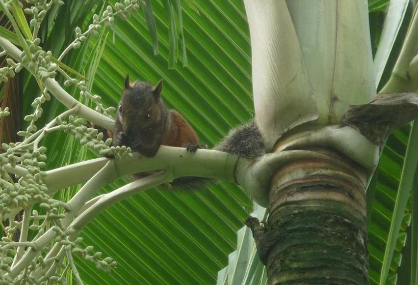 Отель Cerro Chato Ecolodge