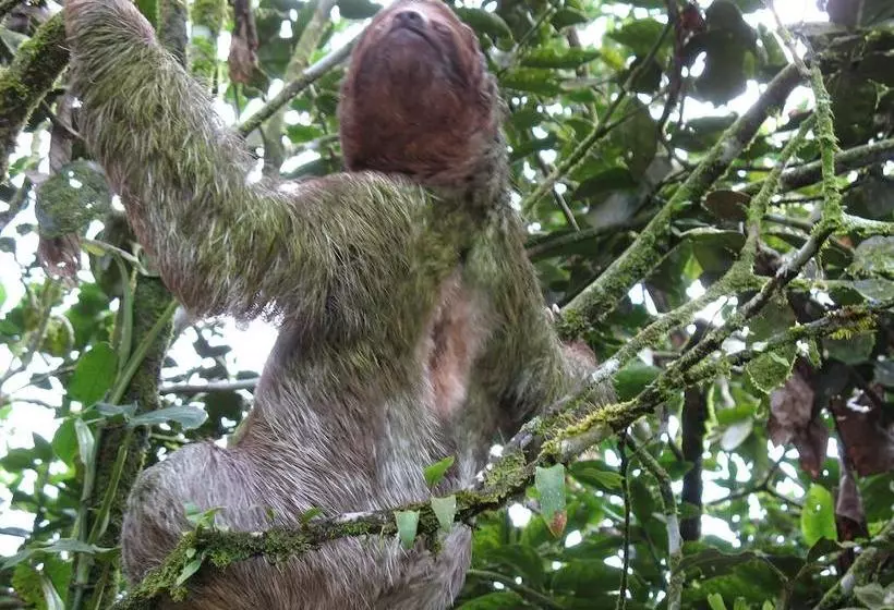 호텔 Cerro Chato Ecolodge