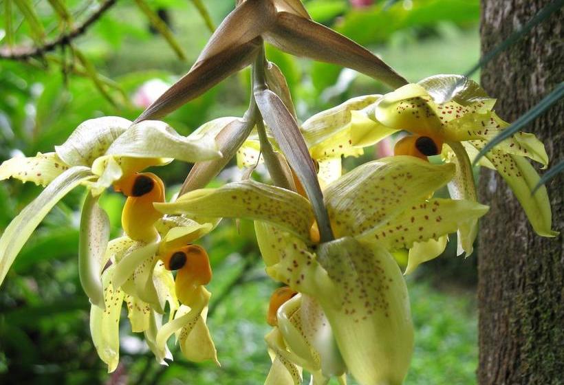 Отель Cerro Chato Ecolodge