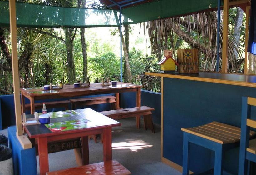 Отель Cerro Chato Ecolodge