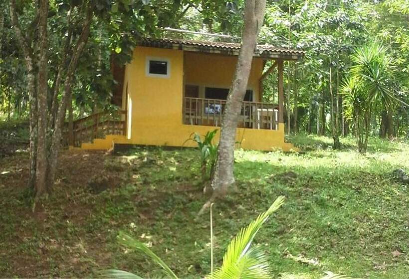 هتل Denny S Beach Resort