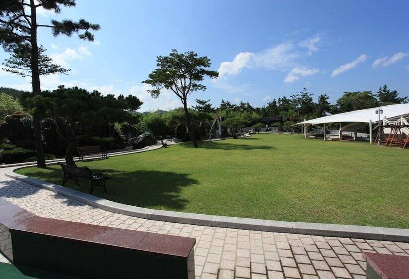 ホテル Donghae Medical Spa Convention