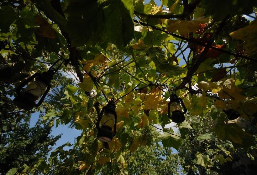 فندق Fairy Chimney Inn