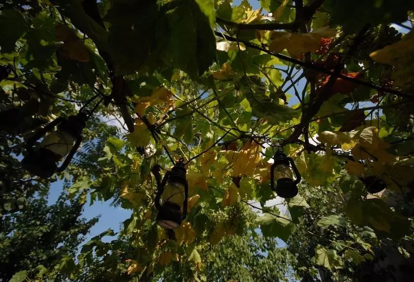 호텔 Fairy Chimney Inn