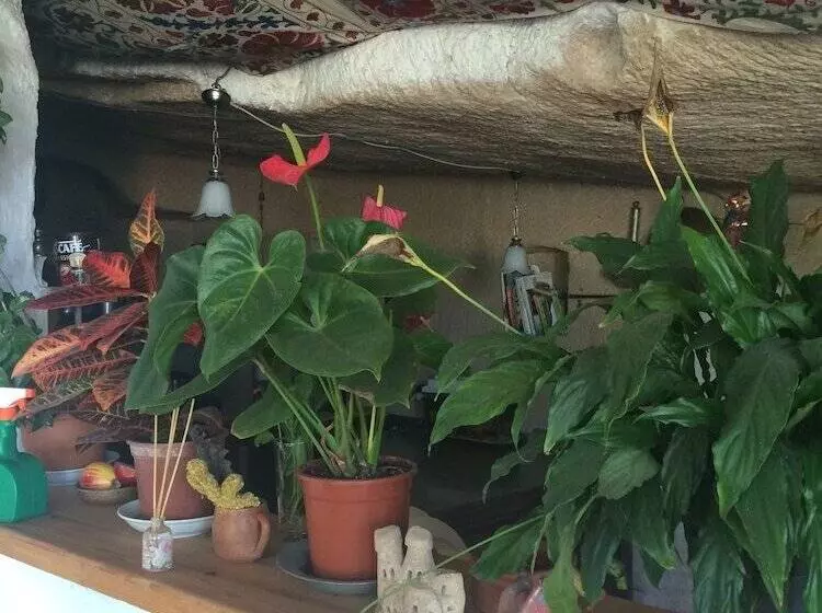 호텔 Fairy Chimney Inn